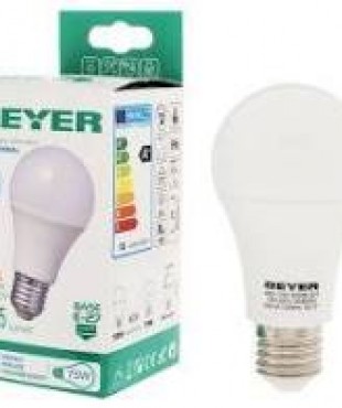 ΛΑΜΠΑ GEYER LED /NOP 11W 220V E27