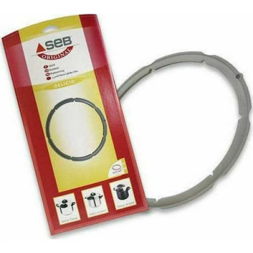 ΛΑΣΤΙΧΟ ΧΥΤΡΑΣ TEFAL DELICIO 4,5-6LT  Φ22